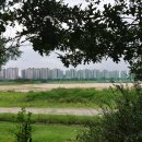 해양야구장 이미지