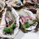 봉수식당 Daum카페