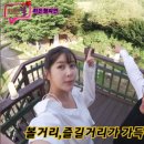 올림푸스펜션 이미지