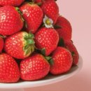 쿠우쿠우목포점 이미지