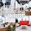 하이댕댕 이미지