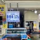 동광호 배낚시&#39;, 초보자도 어렵지 않게 많이 잡을 수 있는 장사항낚시 센터 체험방법부터 솔직후기까지