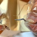 실버케어 코리아 | 폴리보이 액세서리 광택살균제_판도라 목걸이 세척 후기(금귀걸이 세척, 은귀걸이 세척, 은팔찌 세척...