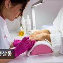 더펫살롱 네이버블로그