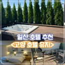 고양호텔 유지 | 고양 일산 핫플 호텔 유지 내돈내산 솔직 후기, 깨끗+가성비 숙소! 할인 혜택 및 리뷰이벤트까지