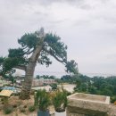 썬옥(SUNOK) 이미지