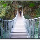 경기도 안양시 만안구청 앞 이미지