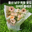 문수로410번길 이미지