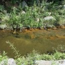 롯데마트 시계탑앞 이미지