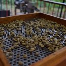 북동농원 이미지