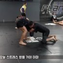 김동현