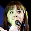 안동서부시장 뉴스1