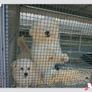 유영농장 이미지