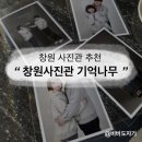 봉곡동109 | [창원 사진관/창원 기념일 촬영]도계동 사진관 추천 '창원사진관 기억나무' 찐으로 만족하고 온...