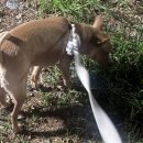 보라매354 | 나는 바빴고, 성단은 귀여웠다