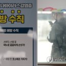 보건당 이미지