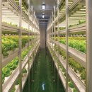 햇빛농장 이미지