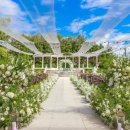 해피가든(퍼스트가든) 이미지