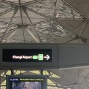 인디언실버 | 싱가포르 창이공항 실버크리스 라운지 후기