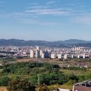 재난감시CCTV 이미지