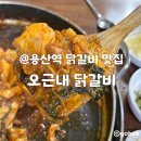 서울닭갈비 | 용산맛집 서울 3대 닭갈비 오근내 닭갈비 본점 내돈내산 후기