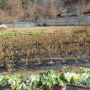 가대 농장 이미지