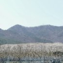 웅동마을 이미지