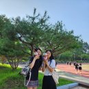 더리터근영점