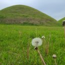 무열농장 이미지