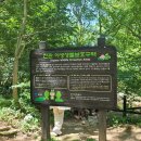 둔내막국수 이미지