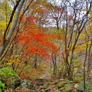 2015.10월18일 정기산행 (주왕산) 산행공지 5시출발 이미지