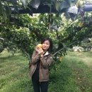 성지농장 이미지