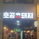 호공돼지