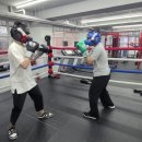 해운대 강남복싱클럽 이미지