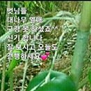 복되고 이미지