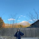 (유)진렌트카 | 후쿠오카 렌트카 추천 유후인 벳푸 일본 여행코스 후기