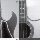 Guitar Cutaway & Cutaway guitar..... 이미지