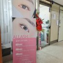올래쉬 ALLASH | [응암 속눈썹] 은평구 속눈썹펌&연장 올래쉬