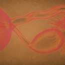 김지수한의원 이미지