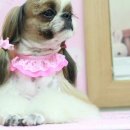 강미용실 - 고창군 무장읍성길 15 | 강미용실