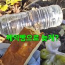윈풀 이미지