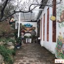 쉐이리코타키나 이미지