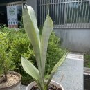 대화농장 이미지