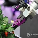 수만카써비스 이미지