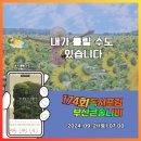 (주)부산나비 이미지