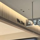 신선식 | 더현대 서울 위펫 방문 후기 | 강아지 간식부터 장난감까지 반려동물 편집샵