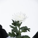 아주대학병원 | 수원 아주대학병원장례식장에 치른 3일장 장례비용 후기