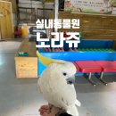 양유정어린이공원 | 충남 아이와 가볼만한곳 list