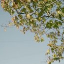 어떤 하루 이미지