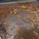 유림-1064 이미지